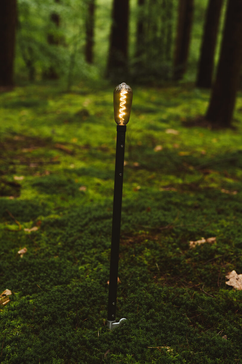 outdoor torch in the middle of a forest