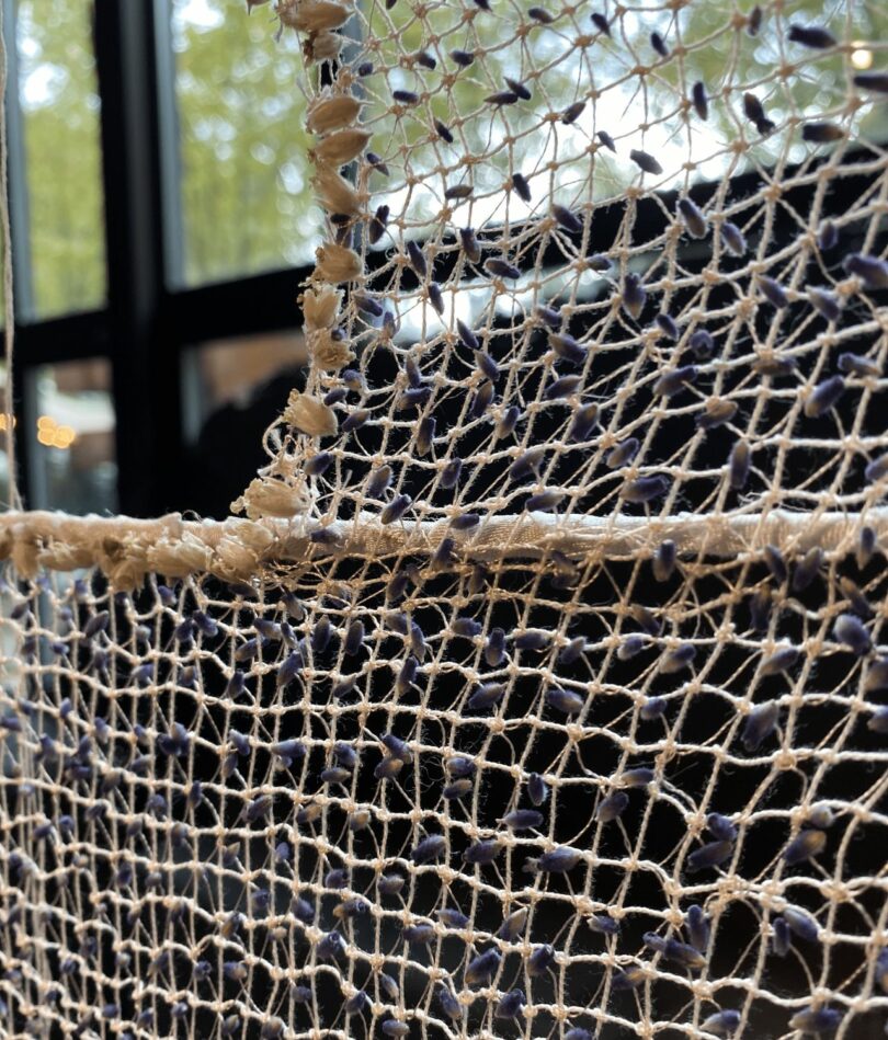 A close up shot of a fine mesh with a single lavender seed at every intersection.