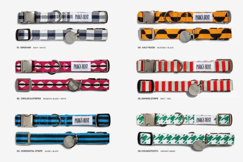 six dog collar designs