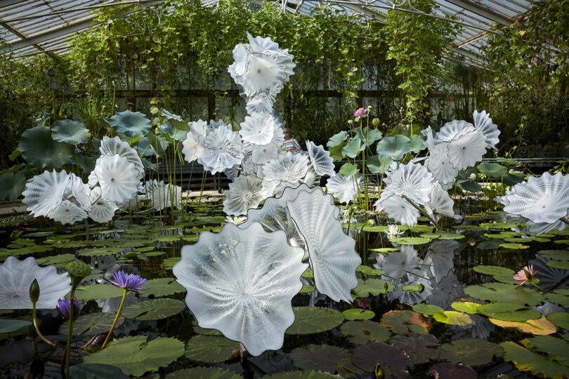 pond full of white flower-like glass sculptures