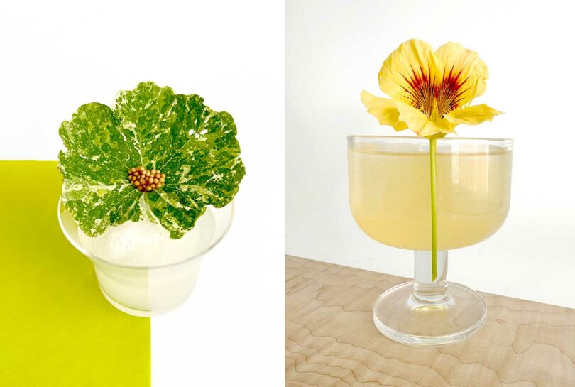 Cocktails side by side with Nasturtium flower.