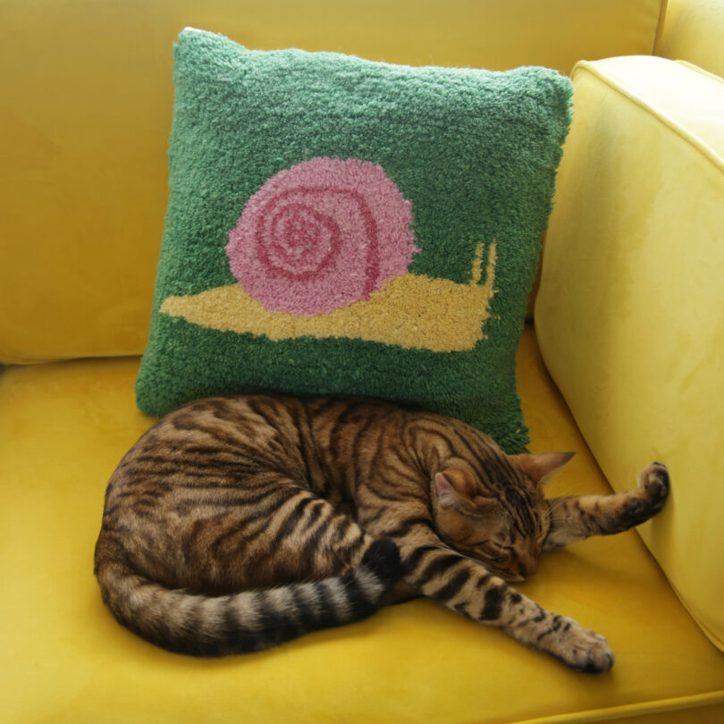 snail pillow on yellow chair with cat
