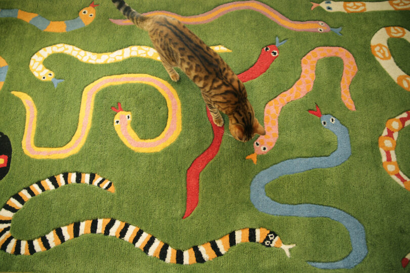 cat on green rug with snakes