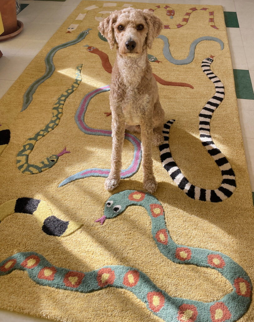 dog on yellow rug with snakes