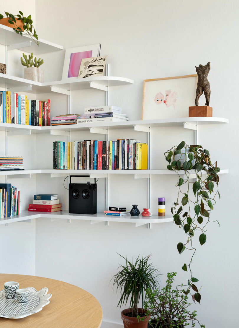 Shelving with a smattering of books, objects, and plants.