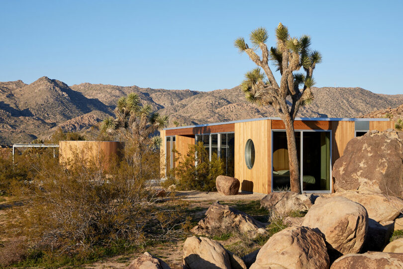 partial exterior view of modern wood pavilion style house in desert