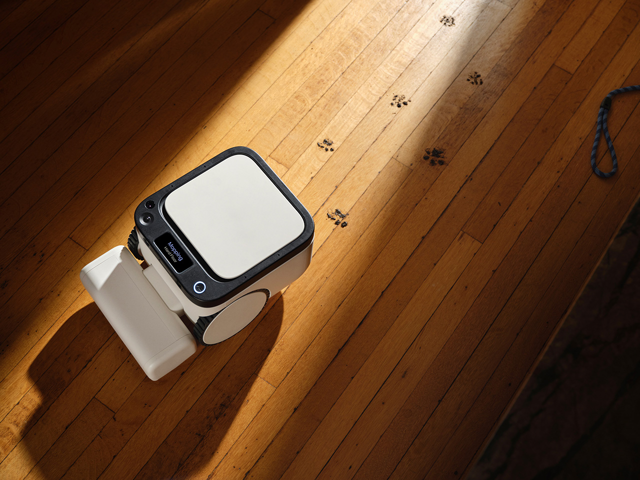 Matic Robot Vacuum Collects Dust but Not Your Personal Data
