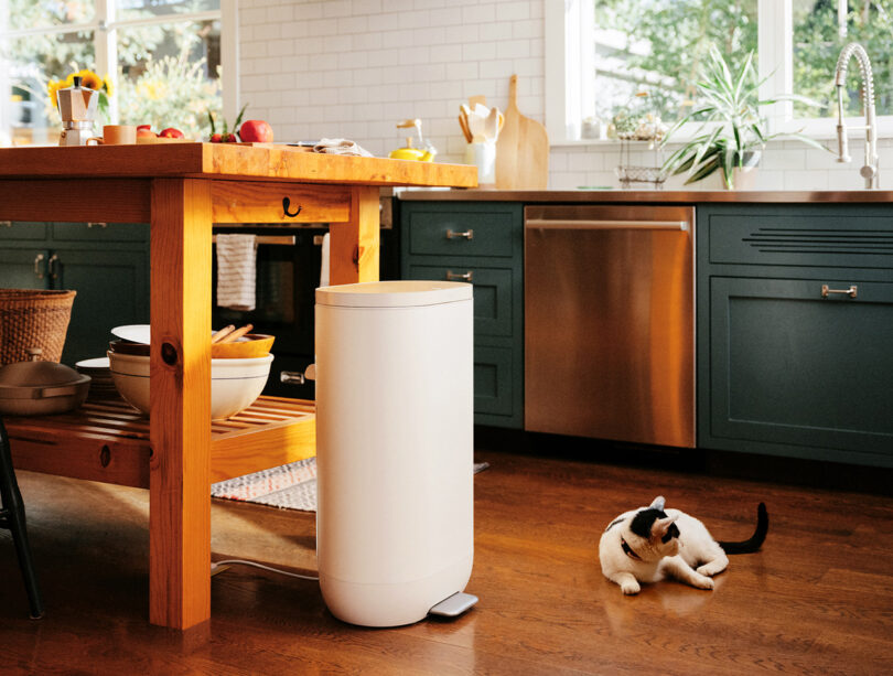 white composting bin in a styled kitchen
