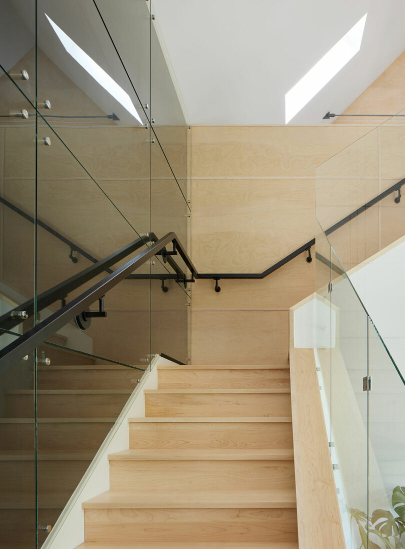 Contemporary stairways pinch achromatic accent wall.