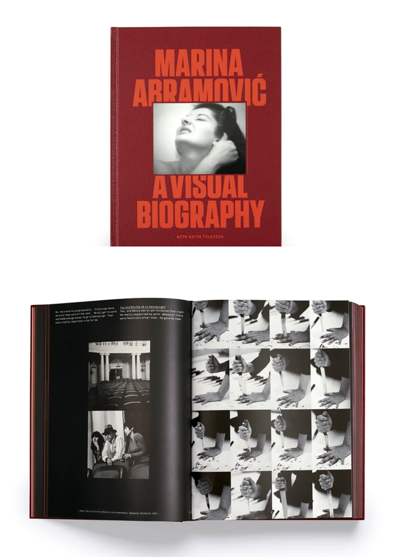 A book with the title madonna a visual biography.