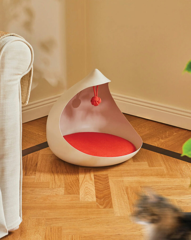 A teardrop shaped pet furniture pinch reddish cushion and reddish artifact hanging from nan top.