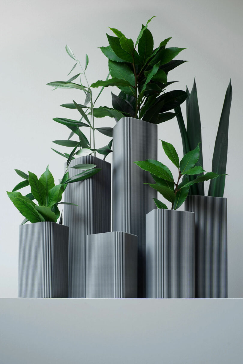greenery in grey vases