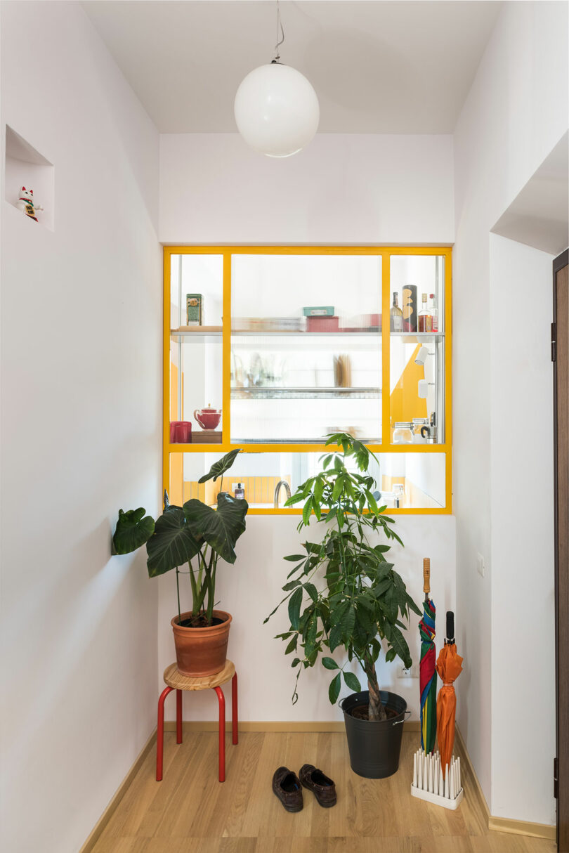 end of a hallway in modern home with yellow framed window and plants