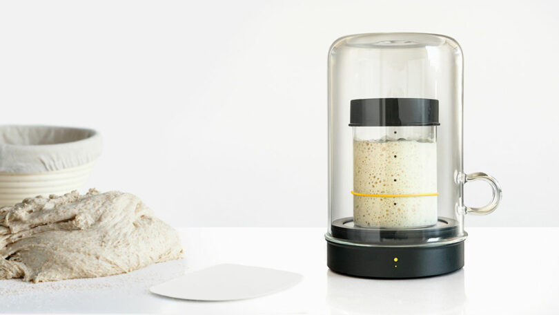 jar of sourdough starter on a white kitchen counter