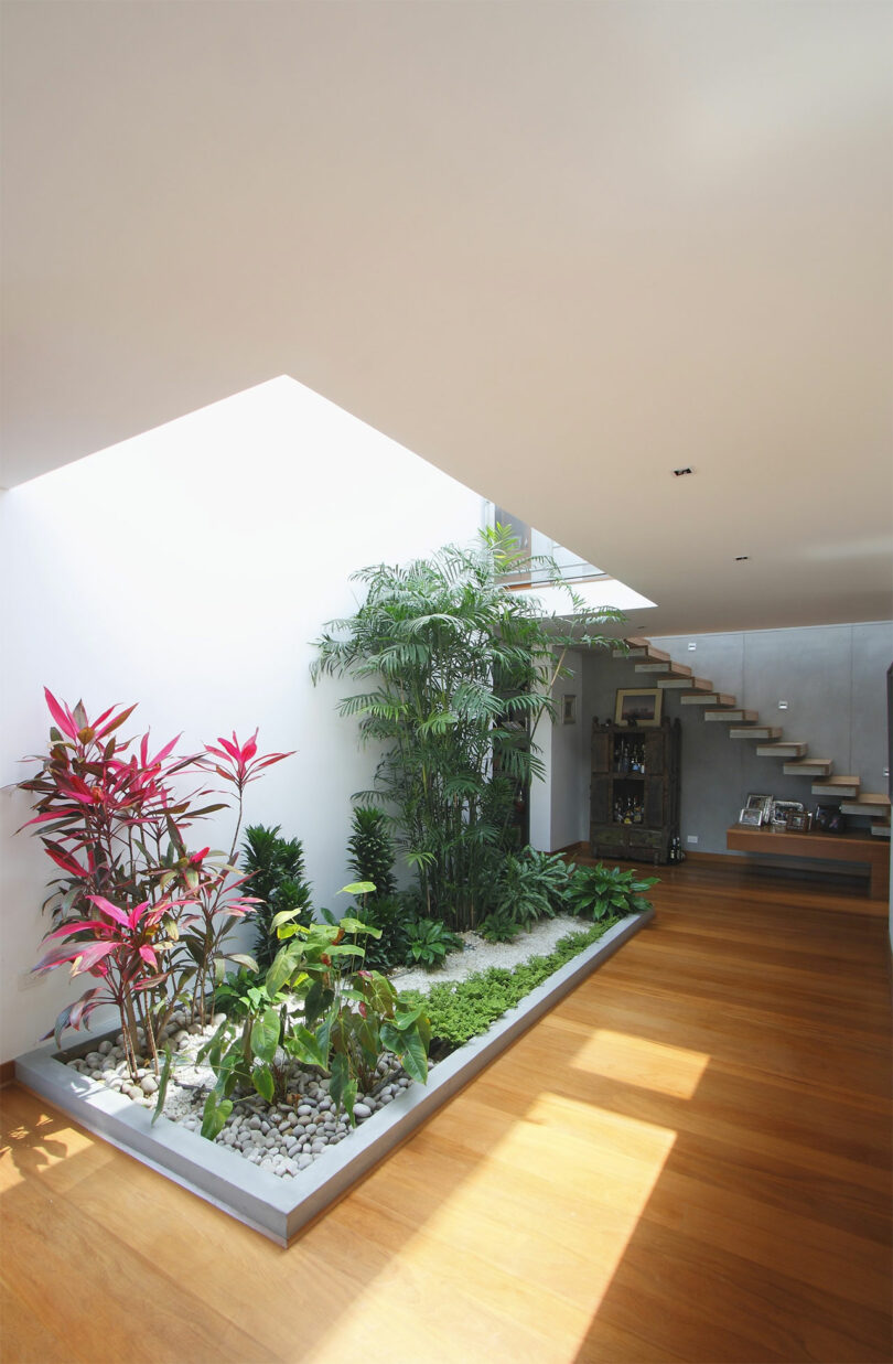 angled interior view of double height space with an interior garden.