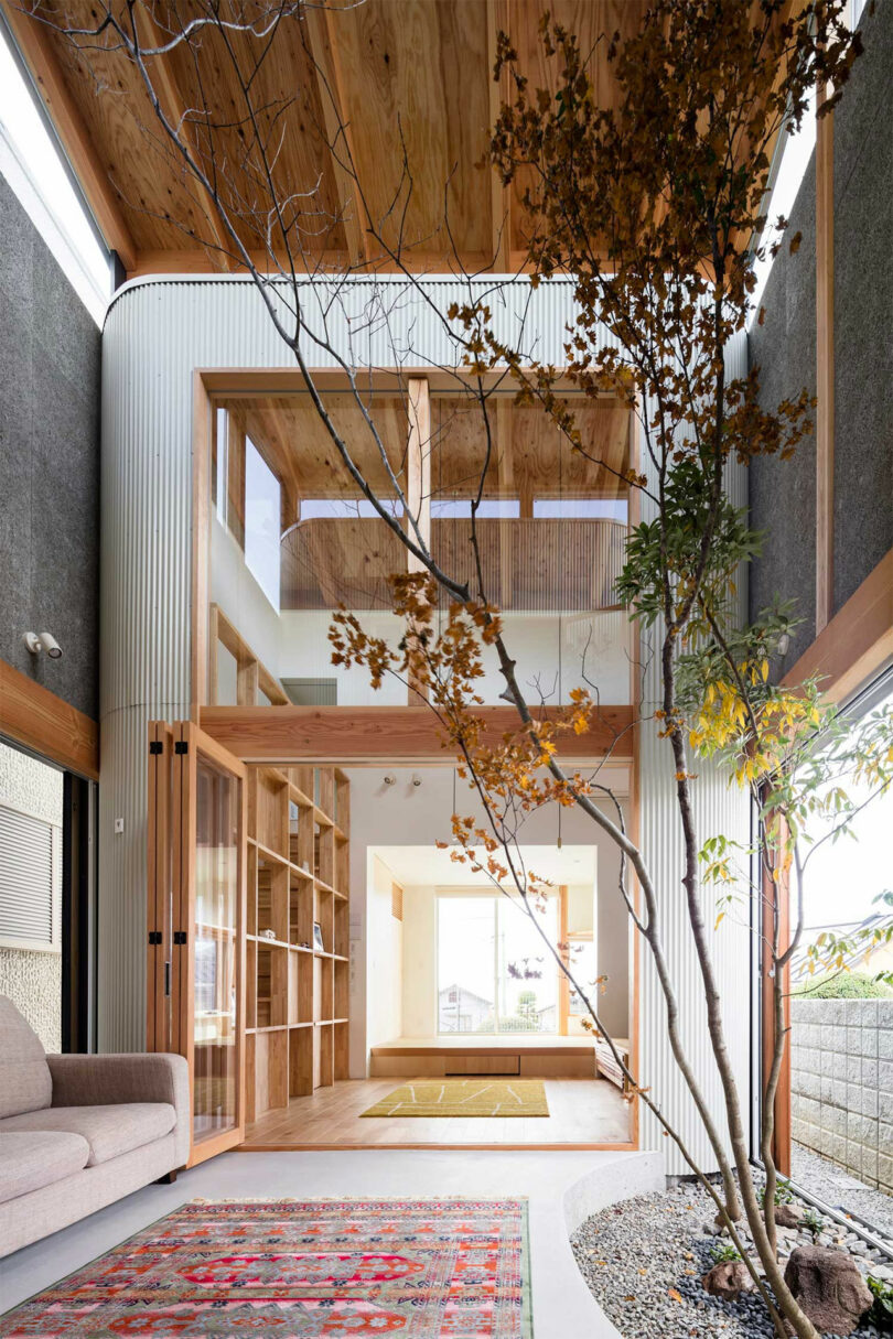 نمای داخلی از طریق قسمت نشیمن خانه مدرن ژاپنی با درختی که در فضای دو ارتفاع رشد می کند.