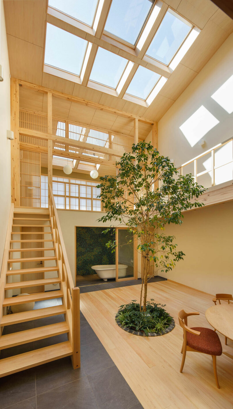 فضای داخلی خانه های مدرن فضای نشیمن دو ارتفاع با دیوارهای چوبی و جزئیات با درخت کاشته شده در مرکز.