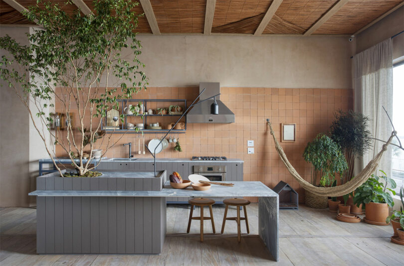 آشپزخانه مدرن با جزیره خاکستری بزرگ با درخت ساخته شده در آن