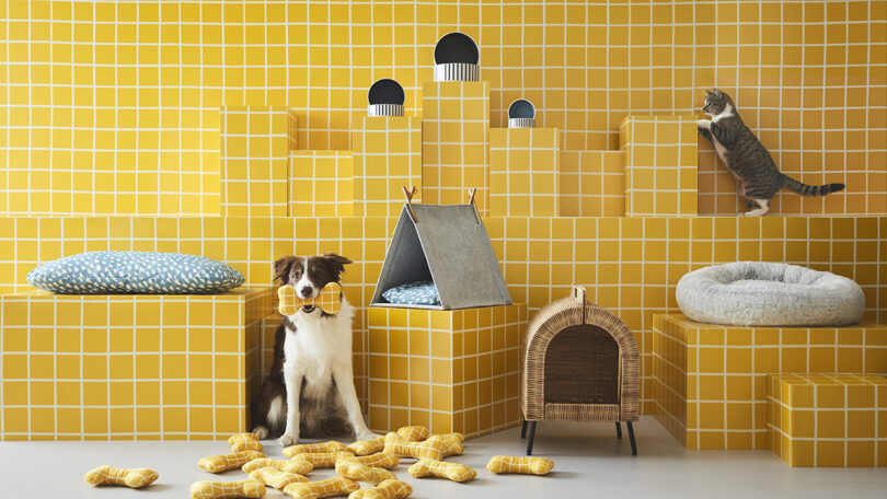 The IKEA UTSÅDD Collection Makes a Pet House Home