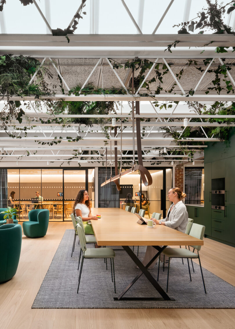 A modern office with plants hanging from the ceiling above a communal work desk