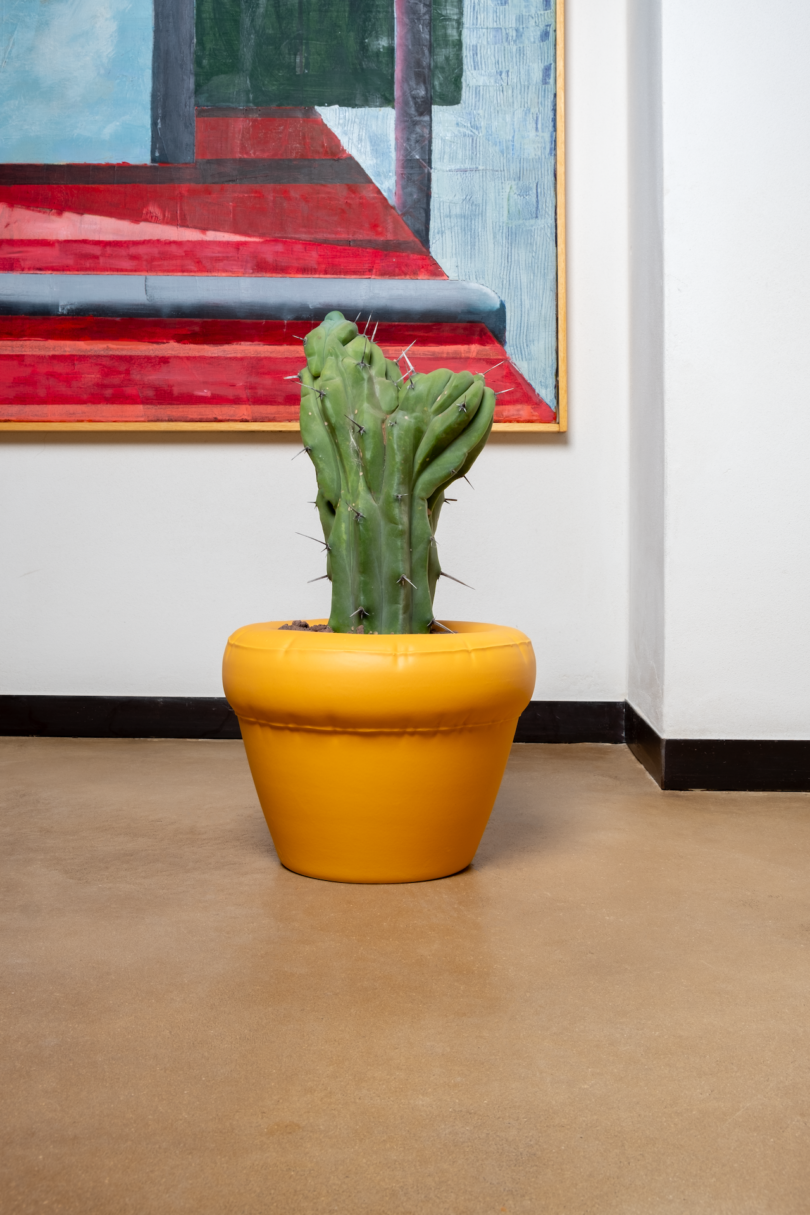 A cactus in a yellow pot against a wall with abstract artwork.