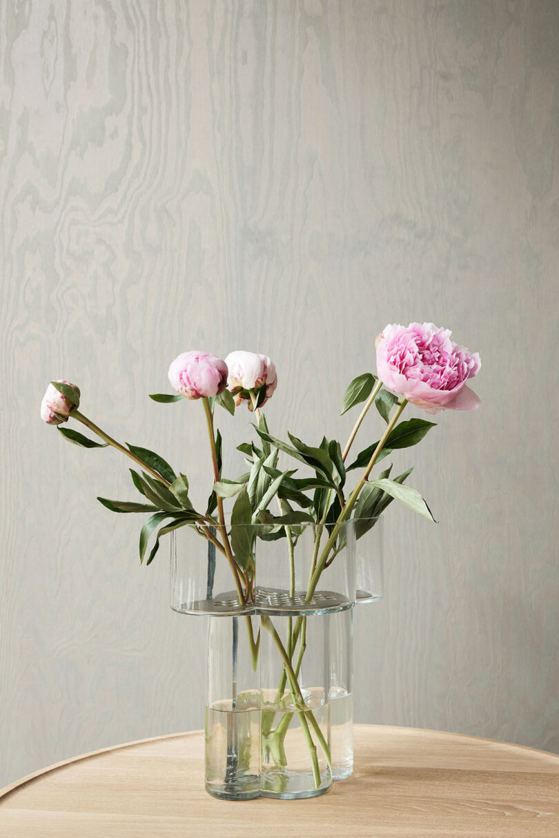 peonies in a glass vase on a wooden table