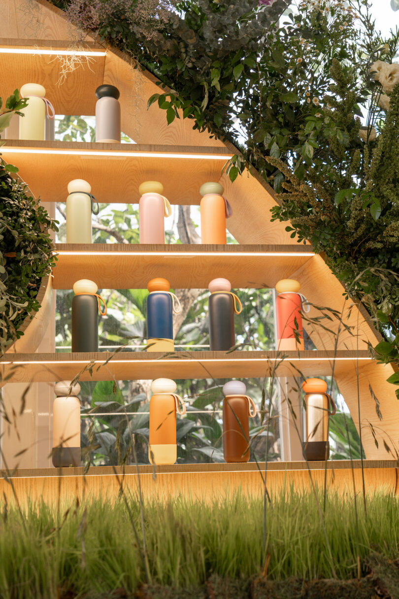 Various colorful bottles are presented on a wooden shelf construction against a green background, including plants and flowers.