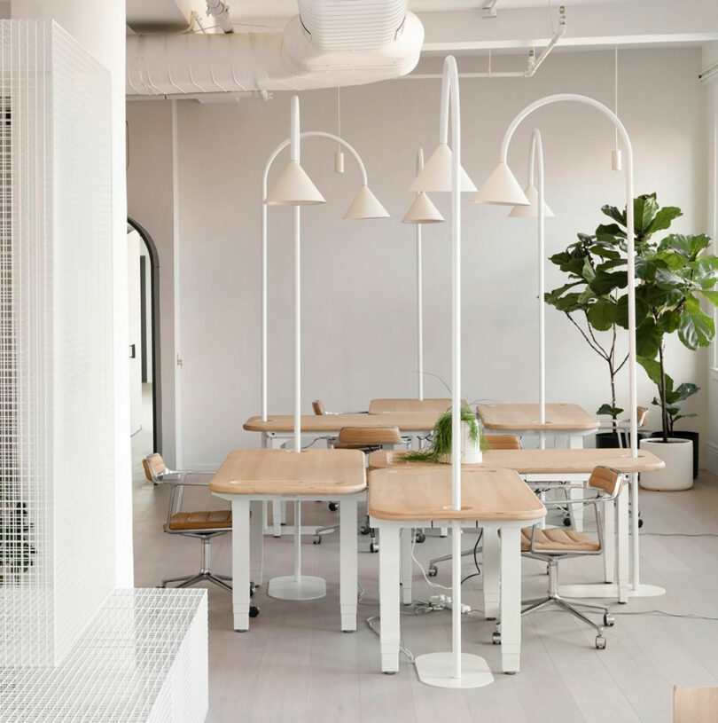 Minimalist cafe interior with wooden tables, white chairs, pendant lights, arches, and indoor plants.