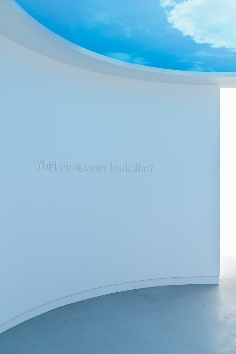 An image showing a curving white wall in a bright room with the phrase "what does color look like?" printed in light gray.