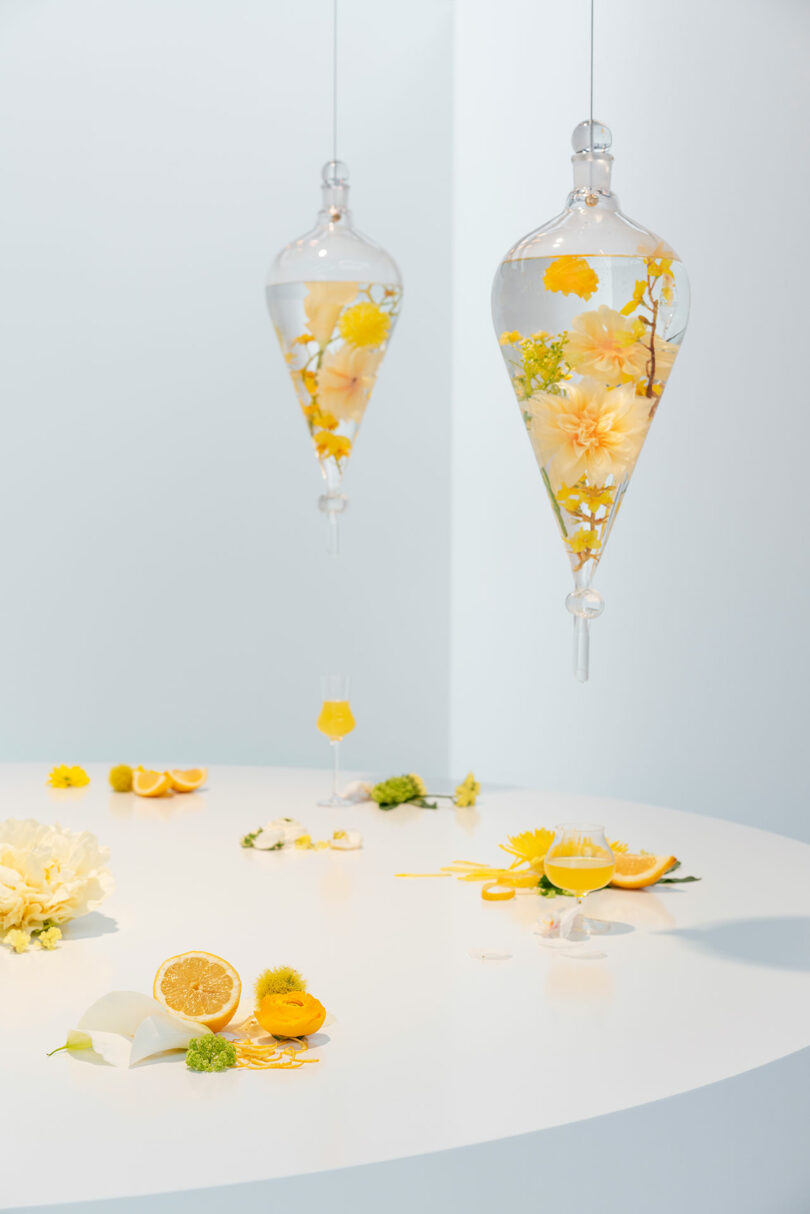 Two glass pendulums with yellow flowers suspended above a white table with flower petals, orange slices, and glasses.