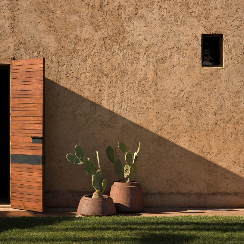 A wooden door on a textured adobe wall with two potted cactus plants under the angled shadow of a building.
