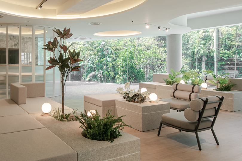 Modern indoor lounge area with natural light, incorporating green plants and minimalist furniture.