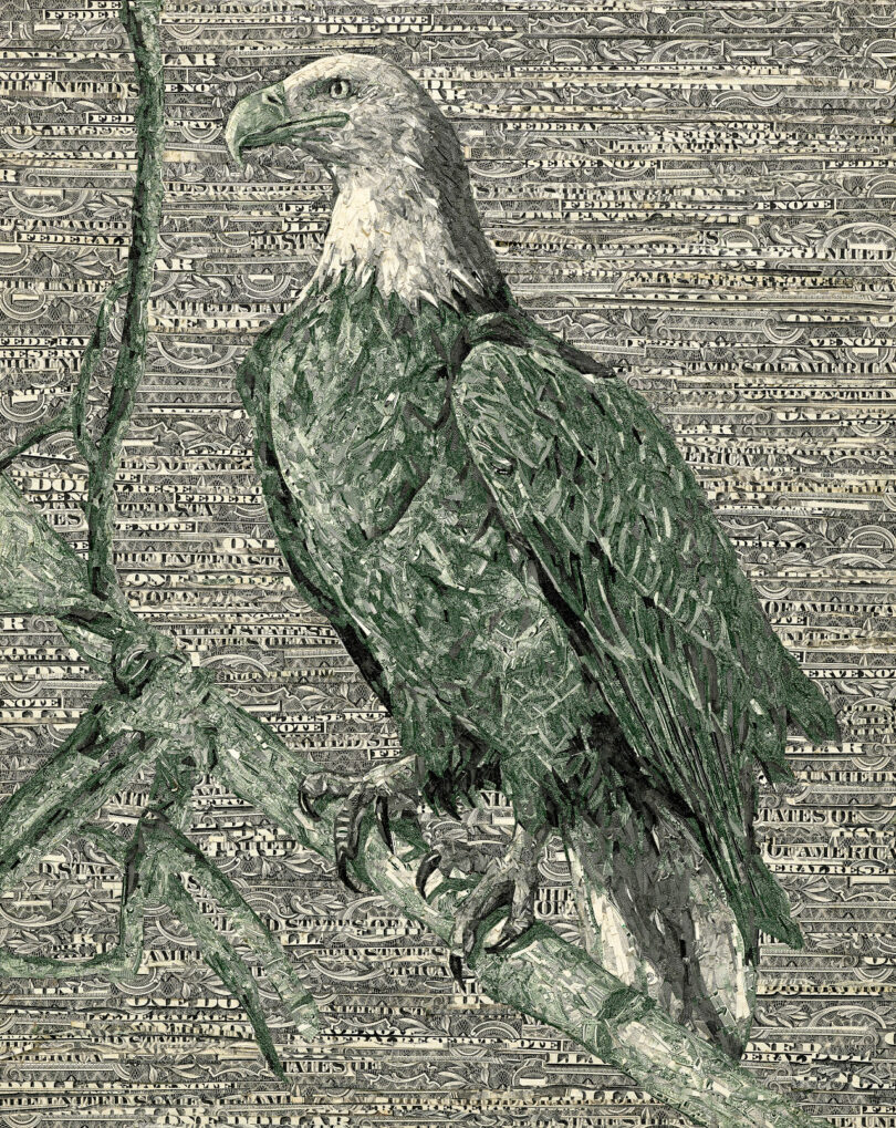 Collage of US currency - Bald Eagle