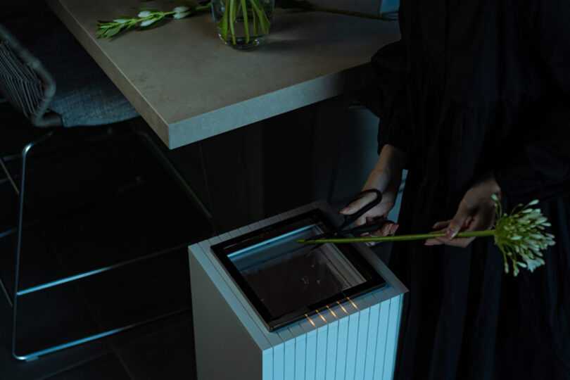 A person in a dark robe uses a stylus on a digital tablet placed on a white podium, holding a flower in the other hand, with a dimly lit kitchen background.