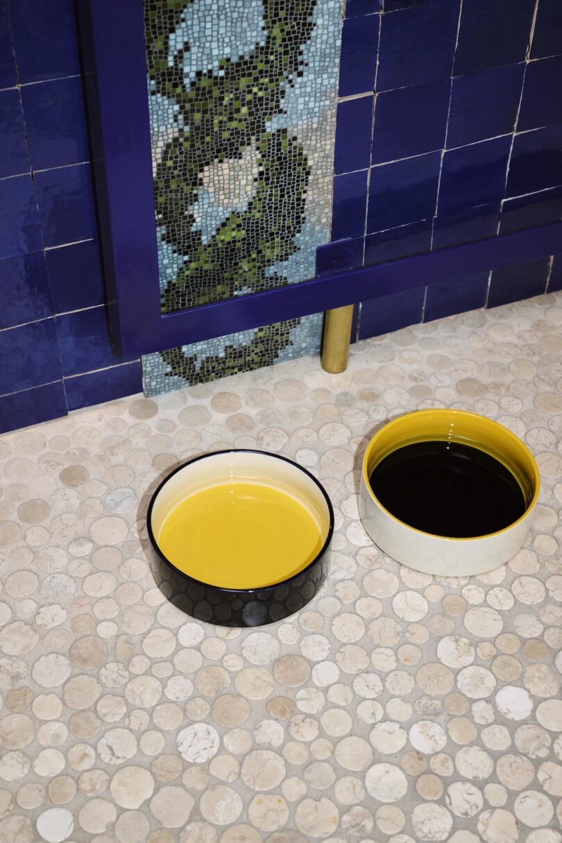 two white, yellow, and black dog bowls on the floor