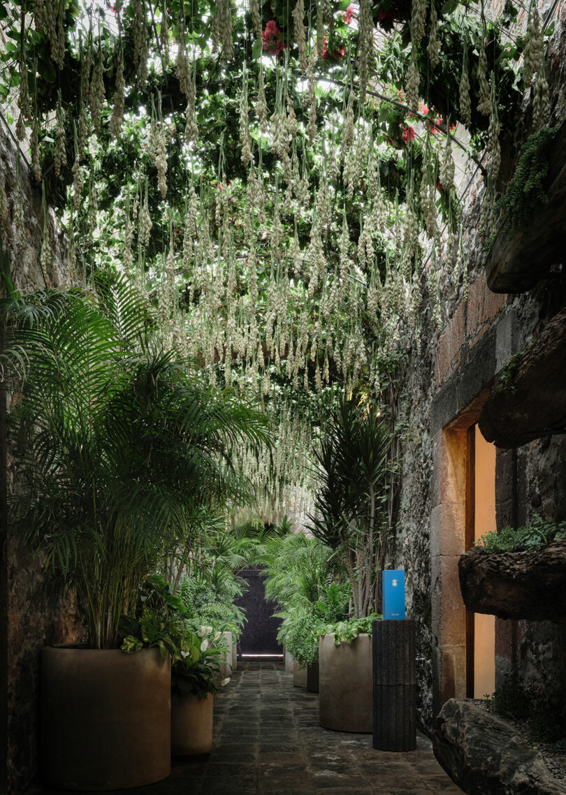 A tranquil indoor garden with hanging white flowers, lush ferns, and large stone pots, framed by rustic stone archways.