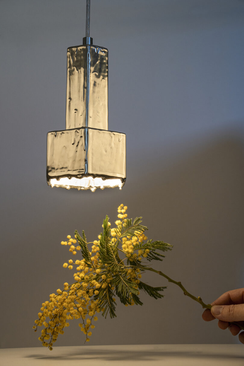 A hand holds a sprig of yellow mimosa flowers under a modern, rectangular metal pendant light in a softly lit room