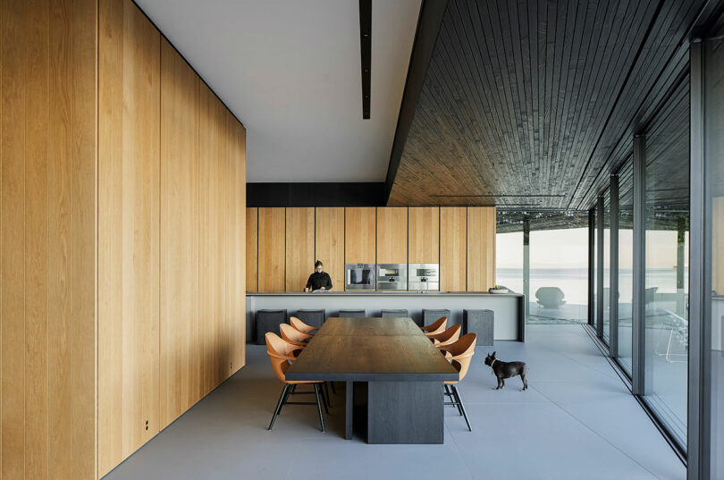 Modern kitchen in a Liminal House with sleek wood cabinets, black countertops, a large wooden dining table, chairs, and a cat walking by. Floor-to-ceiling windows provide natural light.