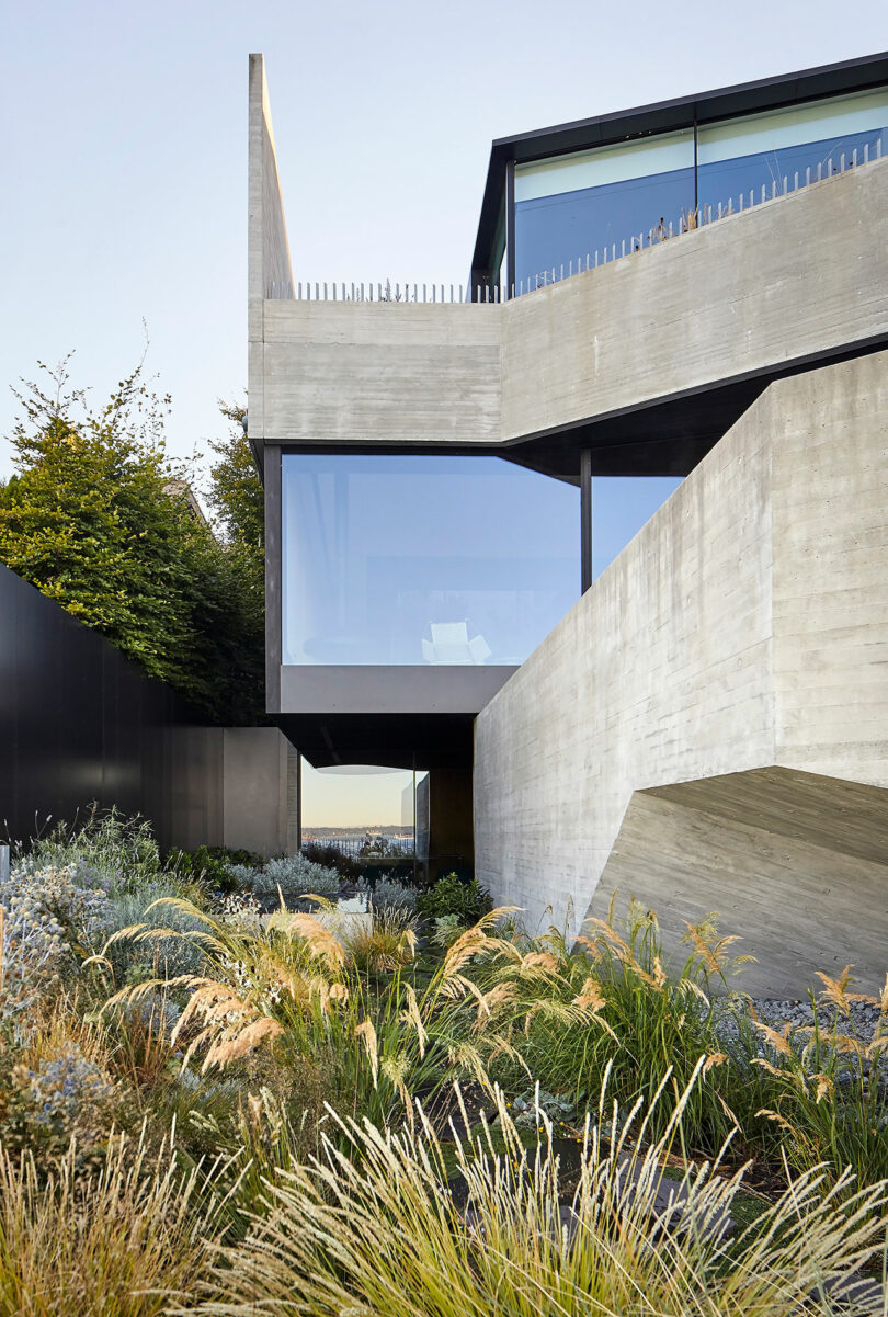 Liminal House features a modern architectural style with angular concrete design, large windows, and a landscaped garden with tall grasses.