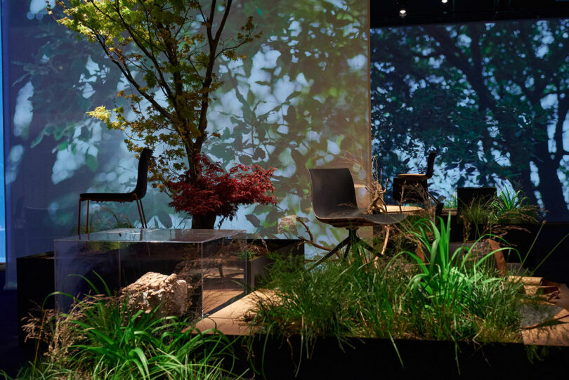 Exhibition image with new chairs resting amongst trees and grass
