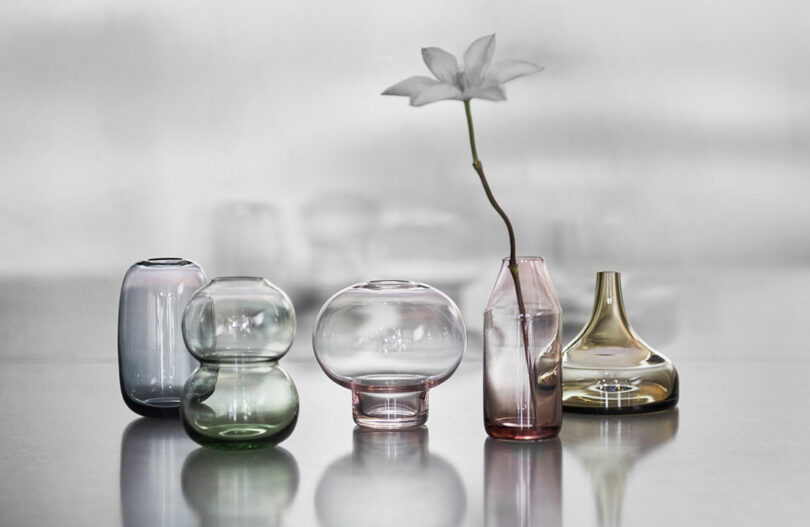 A collection of variously shaped glass vases in different colors is placed on a reflective surface. One vase holds a single white flower.