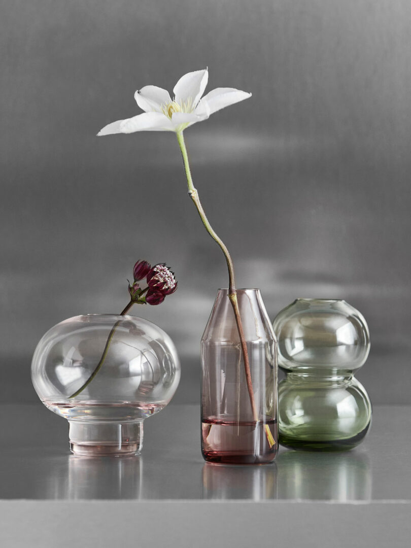 Three glass vases in pastel colors hold single flowers, displayed on a reflective surface with a neutral background.