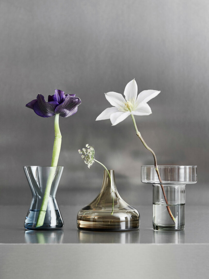 Three flowers in a row, each in a different style of glass vase: a purple flower in a conical vase, a small white flower in a bulbous vase, and a white flower in a cylindrical vase.