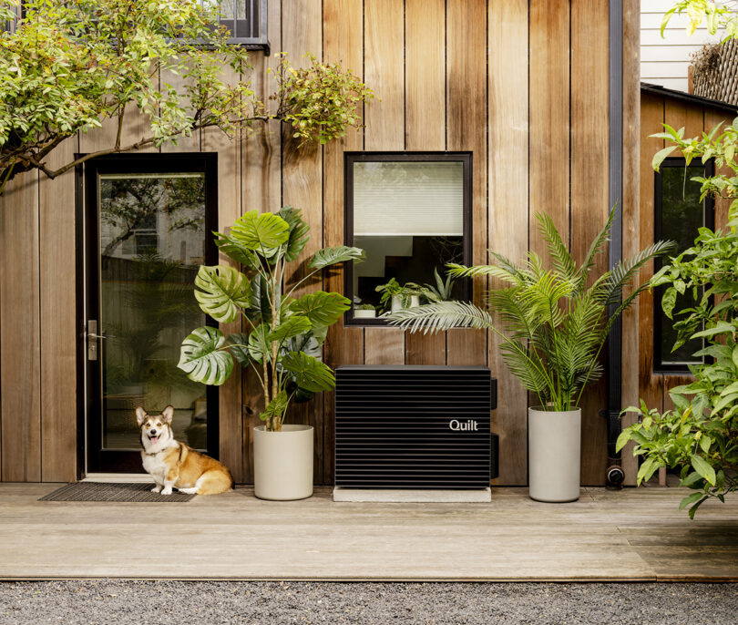 Outdoor scene with a dog sitting on a wooden deck in front of a modern house with wooden paneling. Large potted plants are placed near a slatted matte black Quilt heat pump compressor unit under a window next to the glass door.
