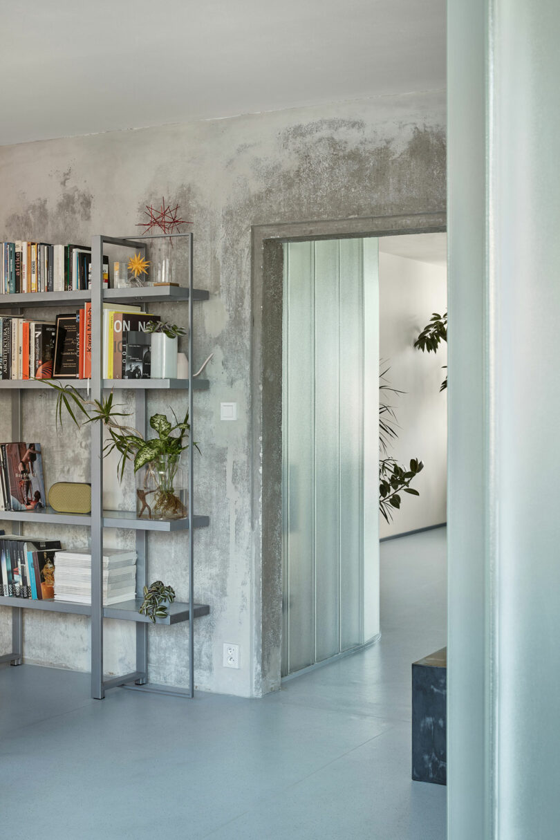 A modern interior with a concrete wall, a metal bookshelf filled with books and decor, a glass partition door, and potted plants, providing a minimalist and industrial aesthetic.