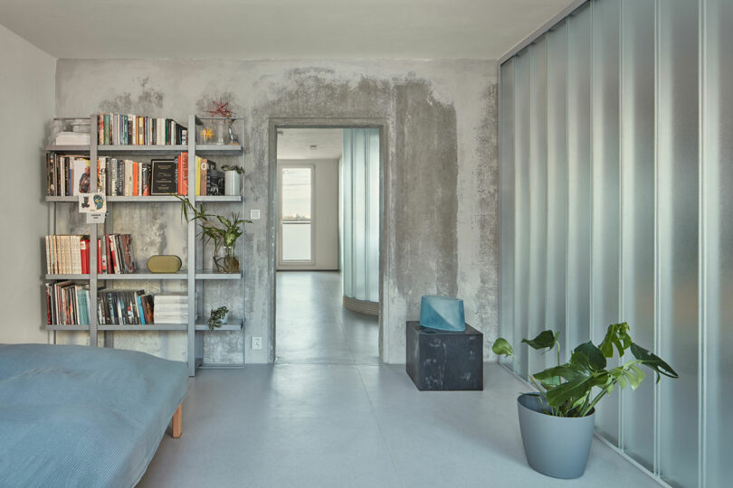 A minimalist room featuring a bed, a bookshelf filled with books, a small potted plant, and frosted glass panels on one wall. The door opens to a hallway with a window at the end.