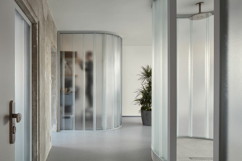 Frosted glass partitions divide a modern interior space, capturing the blurred figure of a person in one section and a shower area in another, with a potted plant nearby.