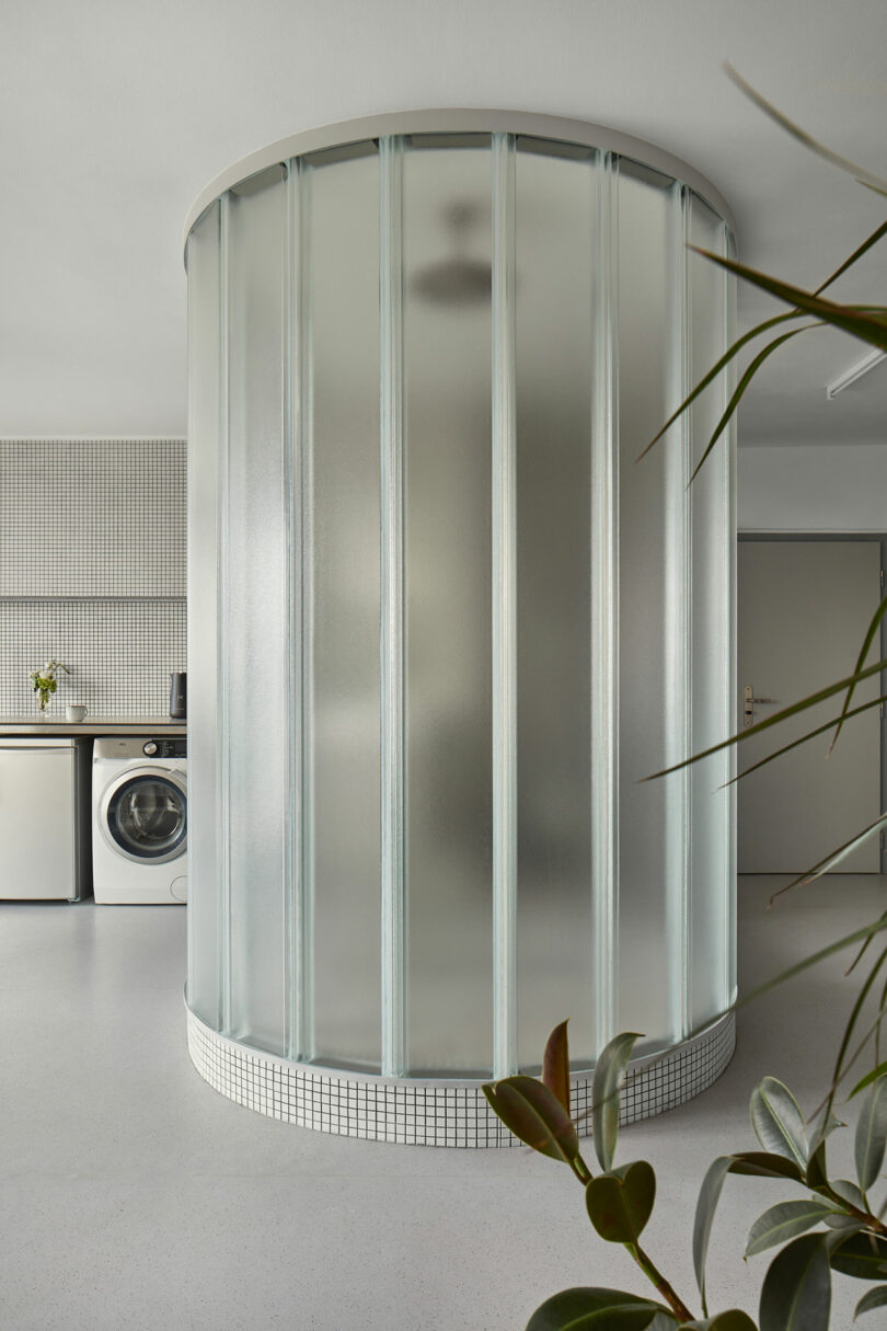 A modern laundry room with a circular frosted glass enclosure, a washing machine and dryer in the background, and a few plants in the foreground.