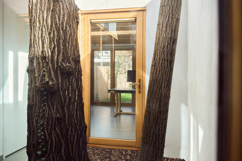 A glass door with a wooden frame is surrounded by tree trunks. Inside, a table is visible in a room with tiled flooring and wooden accents.