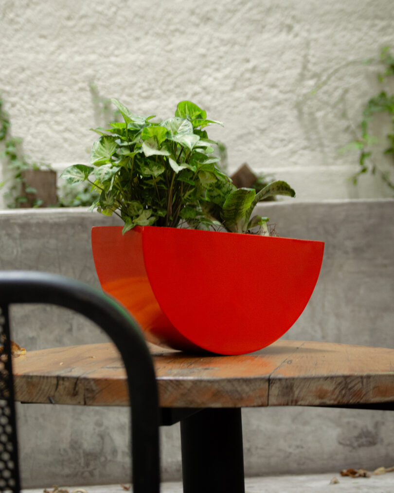 A red, semi-circular planter filled with green plants is placed on a wooden table against a concrete background.